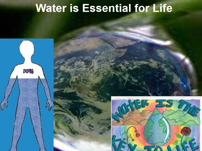 Water is Essential for Life